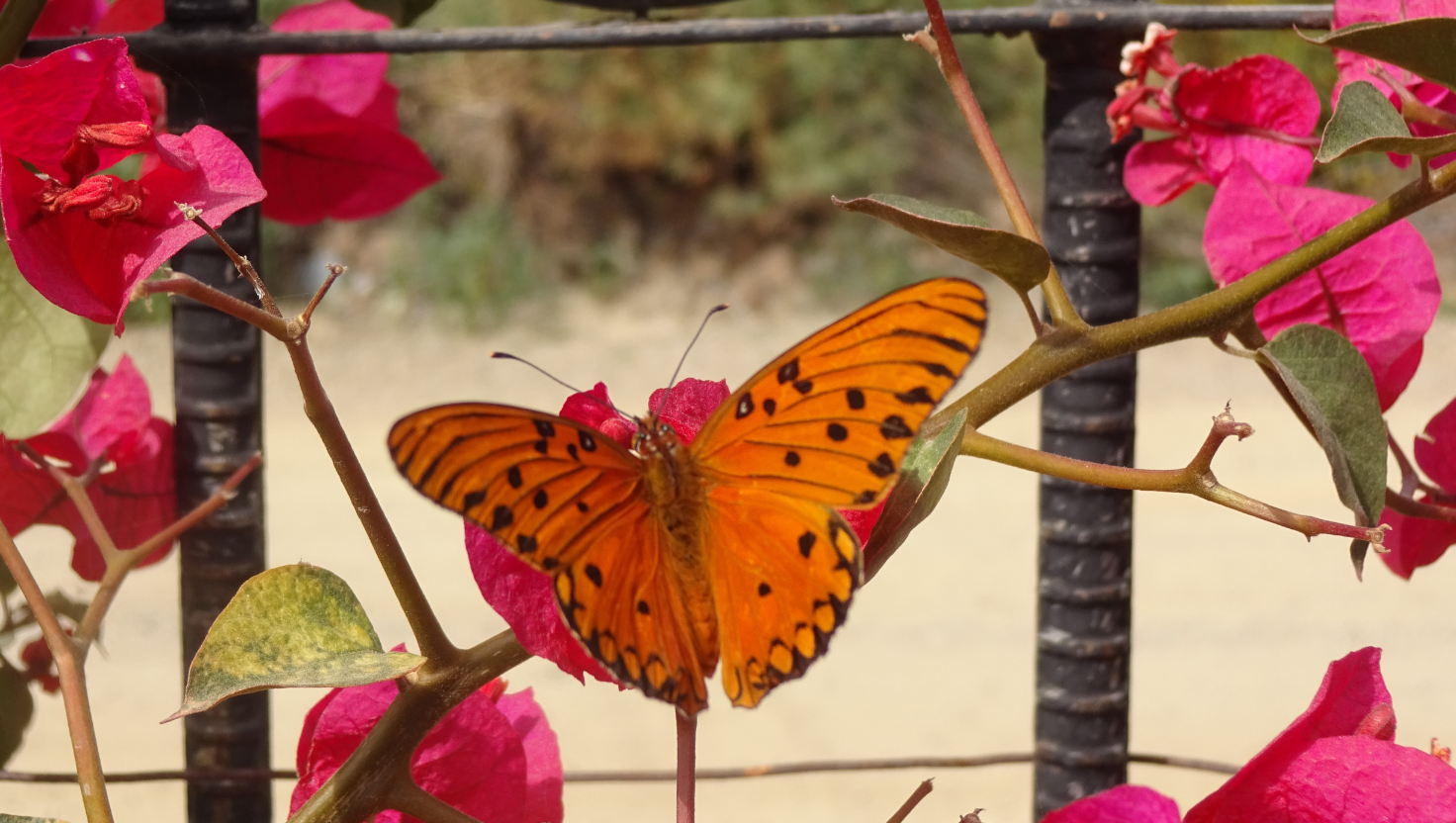 Leben im Hier und Jetzt